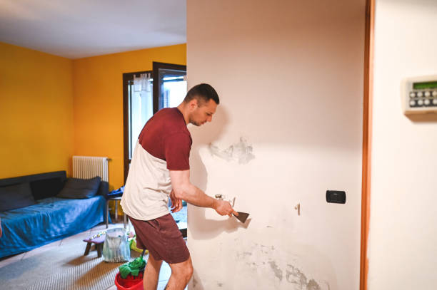 Trusted Gold River, CA Mold Removal Experts