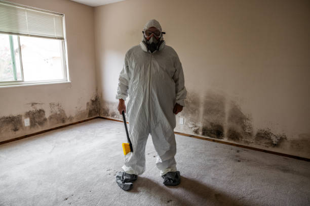 Best Toxic Mold Removal  in Gold River, CA
